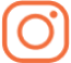 redesp_instagram.png